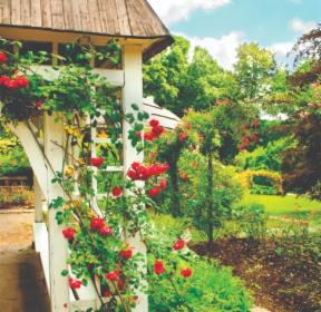 Kompleksowe usługi ogrodnicze