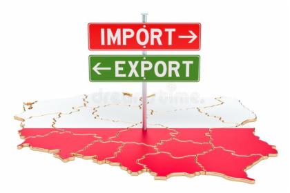 Usługi Import/Eksport - Rozwój polskich firm na rynku włoskim