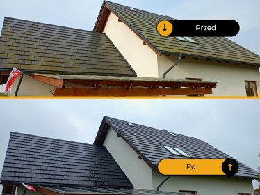 Czyszczenie z odgrzybianiem chemicznym