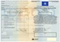 Tłumaczenia dokumentów / Rejestracja Pojazdów / Przygotowanie do rejestracji, oferta