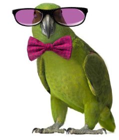 Angielski biznesowy i medyczny Online