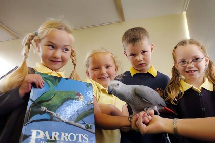 Egzamin ósmoklasisty Angielski Wrocław Online