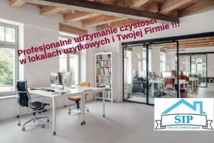Usługi Sprzątające