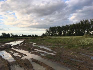 Sprzedam wierzytelność