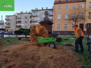 usuwanie pni po ściętych drzewach, frezowanie pni