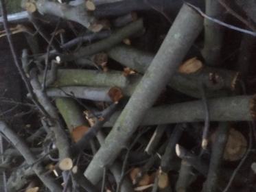 Drewno do palenia wędzenia z certyfikatem.