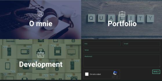 Strona WWW (WordPress)