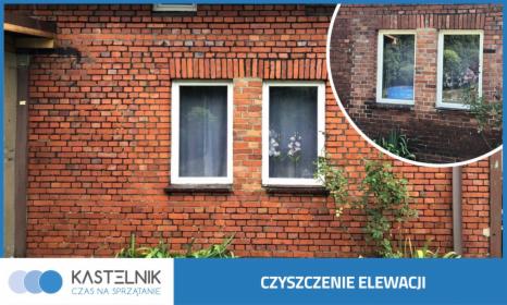 Czyszczenie elewacji