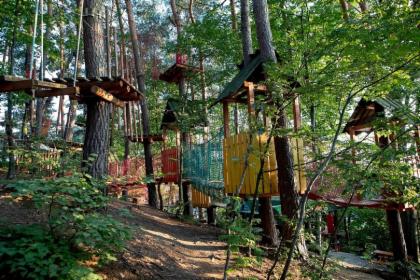 PÓŁKOLONIA LETNIA 7-16 lat