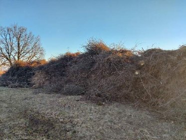 Odbiór biomasy gałęzi po wycinkach oraz zrzyn