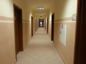 Tapeta natryskowa Dialcolor