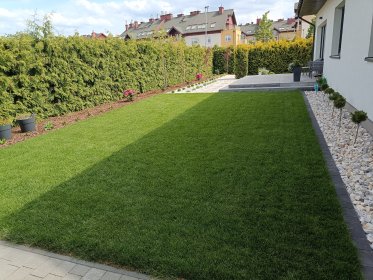 Zakładanie trawników