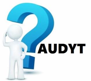 AUDYTY