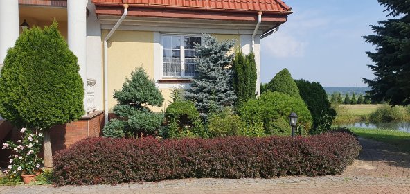 Kompleksowa pielęgnacja