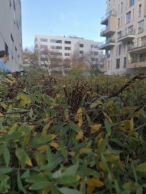 sprzątanie terenów zewnętrznych.