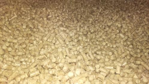 Pelleta drzewna - sosna