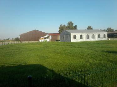 Zakładanie trawników Wrocław, okolice