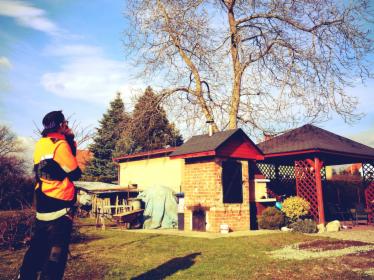 Pielęgnacja i wycinka drzew metodami linowymi