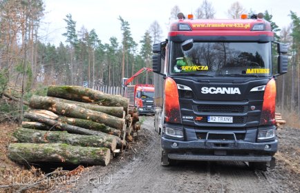 Drewno opałowe, drewno kominkowe