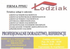 Odśnieżanie dachów