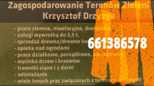 Zagospodarowanie Terenów Zieleni/Usługi Transportowe