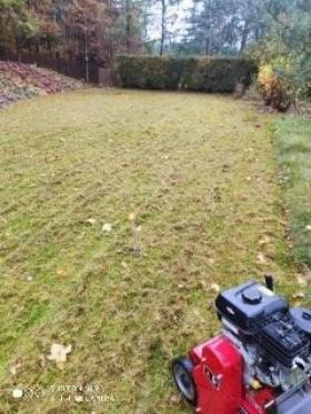 Wertykulacja trawników