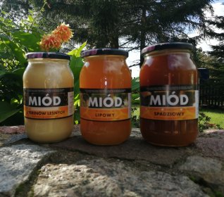 Miód spadziowo nektarowy