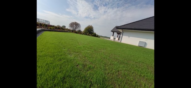 Zakładanie trawników