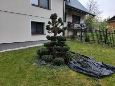 Prace pielęgnacyjne