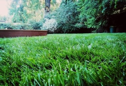 Wiosenna wizyta pielęgnacjna