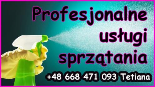 Profesjonalne sprzątanie
