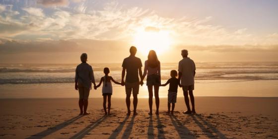 Prawo rodzinne: postępowanie rozwodowe, podział majątku, alimenty