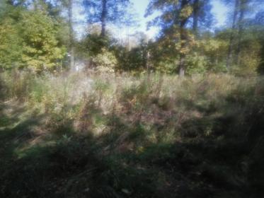 Koszenie dużej działki duże krzaczory