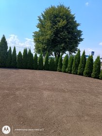 Zakładanie trawnika