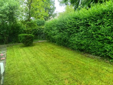 Korekta przycinanie oraz wycinka drzew