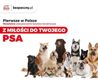 Ubezpieczenie chorobowe psa