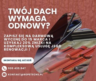 profesjonalna renowacja, malowanie i konserwacja dachów