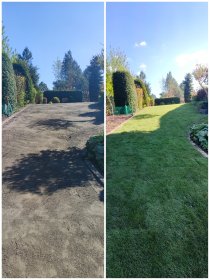 Zakładanie trawników