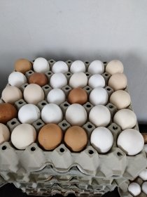 Wiejskie jajka dostawa