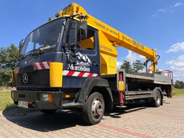 Wycinka/ przycinanie drzew