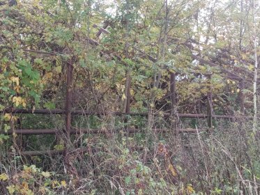 Wycinka drzew koszenie traw