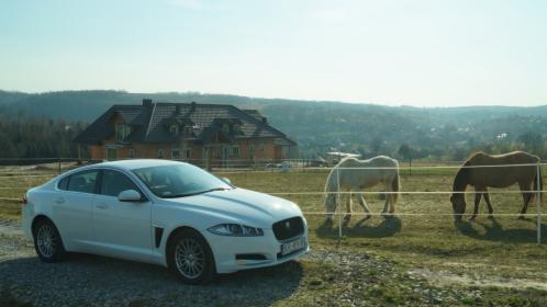 Jaguar XF - samochód, auto do ślubu - wesele, wolne terminy! Kraków i okolice