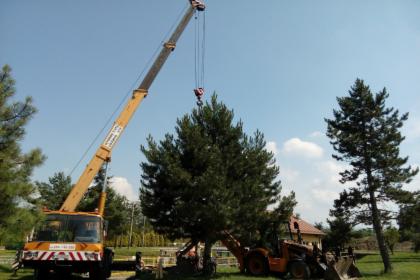 Wynajem maszyn budowlanych - dźwigi, podnośniki koszowe, koparki, wywrotki HDS, inne