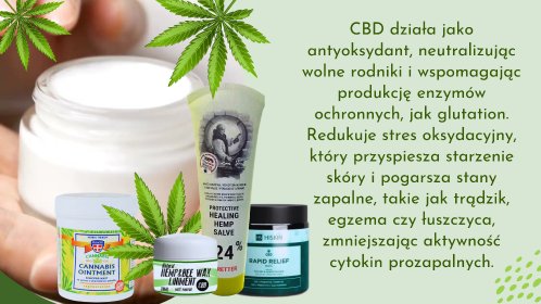 Maść z Konopi – Skuteczna Pomoc w Leczeniu Problemów Skórnych 🌿🌿🌿