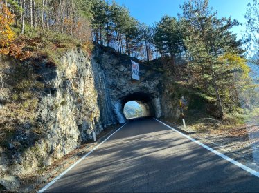 Transport  Polska - Dania -Niemcy-Holandia-Rumunia