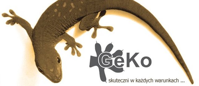 Opracowanie opinii geotechnicznej pod dom jednorodzinny bez podpiwniczenia