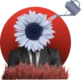 Branding (logo + brandbook)