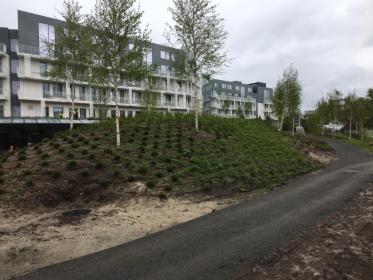 Prace pielęgnacyjne przy nowopowstającym hotelu w Sopocie