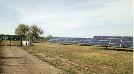 Pielęgnacja i Koszenie Zieleni