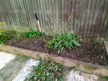 Bieżące utrzymanie ogrodu. Current garden maintenance.